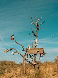 Verloren und gefunden