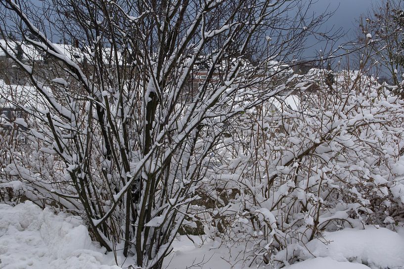 sneeuw von Diana Edwards