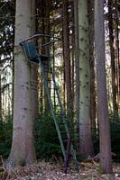 Tenniswedstrijd in het bos