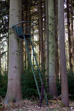 Tenniswedstrijd in het bos by Arno Photo