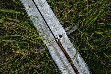 Wandelpad van houten planken in het grasland