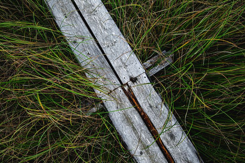 Walkway of wooden planks in the grassland by Martijn Smeets