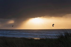 Kitesurfers sur la côte néerlandaise