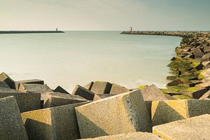 Strand von Scheveningen - 5 von Damien Franscoise