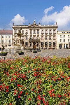 Grumbkow-Palast, Adlerbrunnen - Pałac pod Globusem, Orła Białego von Melanie Viola