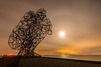 De Denkende Man bij Lelystad