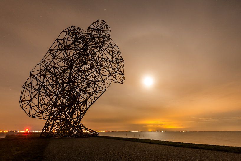 Der denkende Mann in Lelystad von Peter de Jong