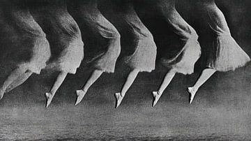 Graceful Ballet van Franka Poulain