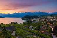 Sonnenaufgang in Spiez im Berner Oberland von Henk Meijer Photography Miniaturansicht