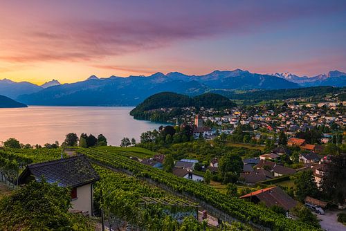 Sunrise in Spiez in the Bernese Oberland