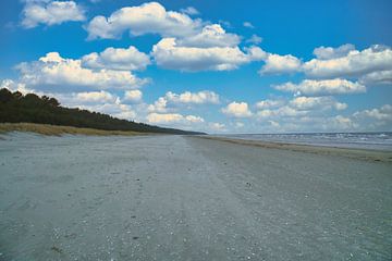 Uitzicht over het strand op Usedom met duinen aan de ene kant en de Baltische Zee aan de andere kant van Martin Köbsch