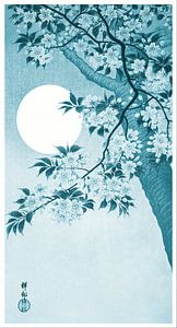 Blühende Kirschblüten im Mondlicht in kühlem Indigoblau (Ohara Koson)