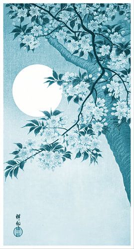 Blühende Kirschblüten im Mondlicht in kühlem Indigoblau (Ohara Koson)