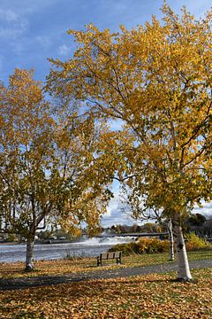 Falls Park in de herfst van Claude Laprise