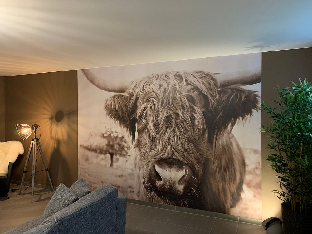 Highlander écossais  par Jo Beerens 