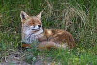 Ontspanning