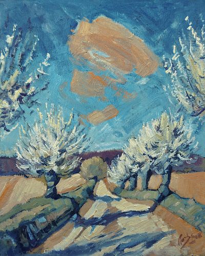 Bloesemweg van Nop Briex