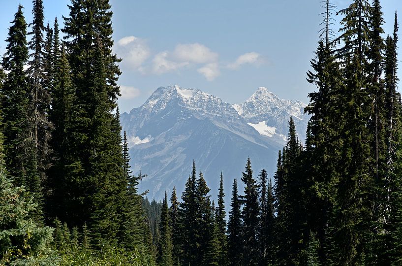 Schönes Bergpanorama am Nationalpark Revelstoke in Kanada von Jutta Klassen