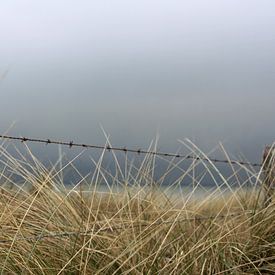 Storm op komst 2 sur Bas van Veen