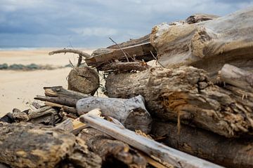 Bois de mer sur Dieuwertje Van der Stoep