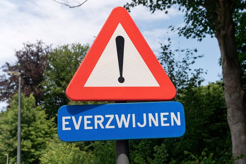 Straßenschild Wildschwein von Richard Wareham