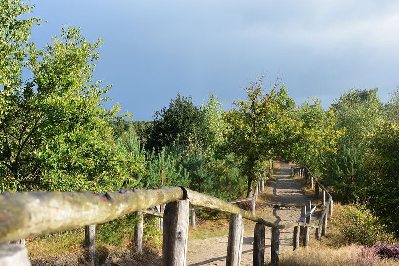 Een pad door de natuur van Gerard de Zwaan