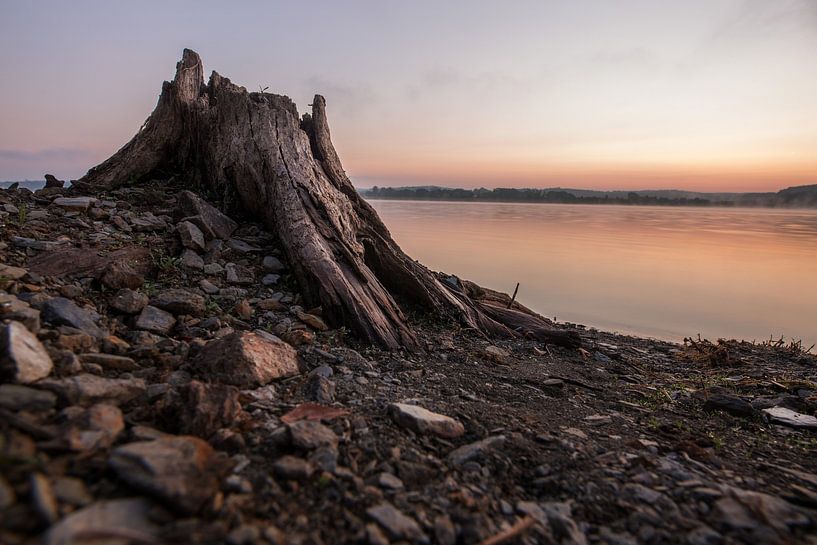 Morgenstunde an der Talsperre Pöhl von Sergej Nickel