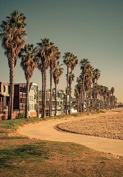 Promenade in Venice Beach van Danny Finch