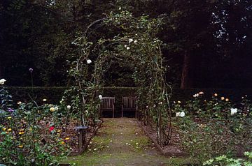 Rose garden van Monja van Deurzen