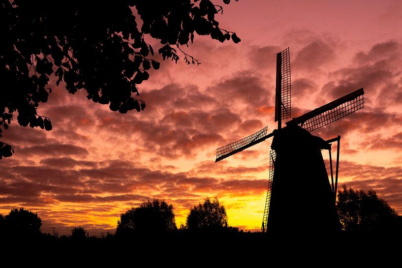 Eine schöne Windmühle aus Brakel von Marcel Derweduwen