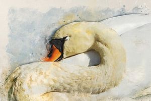 Swan by Bert Quaedvlieg