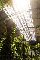 Madrid Atocha Central Station
