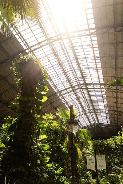 Centraal Station Atocha Madrid van Bas de Glopper