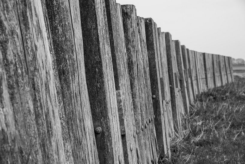 Holzwand von Wouter van Rheenen