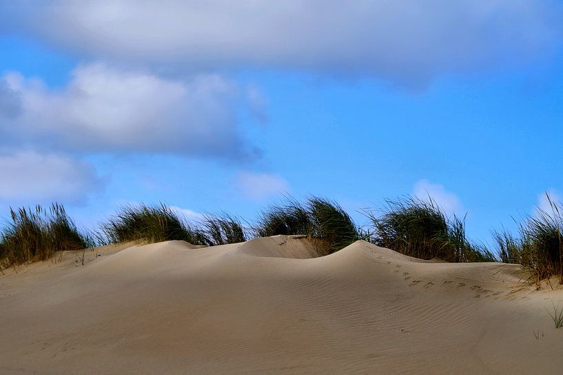 Blauw Zand van ZEVNOV .