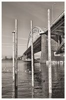 Onder de brug