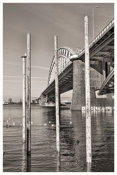 Onder de brug