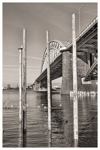 Onder de brug