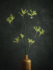 Nature morte - Une jambe de kangourou dans une cruche sur Mariska Vereijken