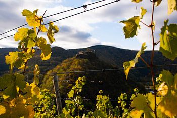 Der Blick auf die Saffenburg in Mayschoß