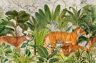 Tigers Exotic Paradise II by Andrea Haase thumbnail