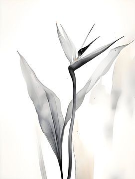 Bird of paradise plant watercolour by Moody Mindscape