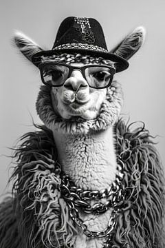 Modieuze lama met hoed en bril in zwart en wit van Felix Brönnimann