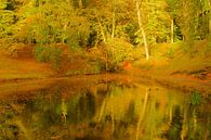 Herfst von Michel van Kooten Miniaturansicht