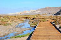 Vlonderpad en beek Salt Creek Death Valley van My Footprints thumbnail