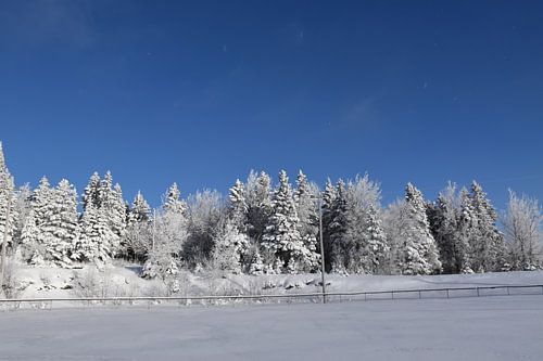 Het recreatieterrein in de winter