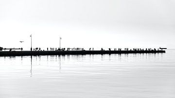 Molo Audace - Trieste