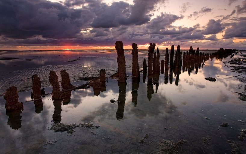 Waddenzee, Nederland van Peter Bolman