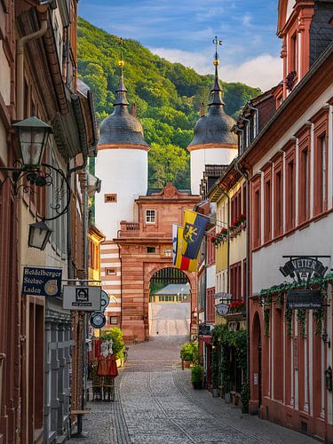De oude binnenstad en de Brugpoort in Heidelberg, Duitsland