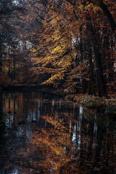 Beleuchtung Spiel von peterheinspictures